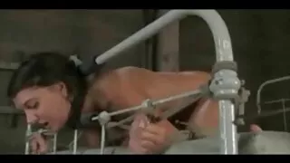 -Tư Gái châu Jane - được thống trị bởi còng xes ma lai tay