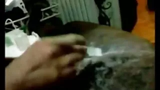 Người hâm mộ của phim xes loan lan Ava Addams
