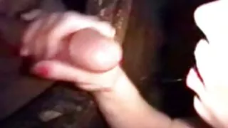 Sinh viên, Fox bí mật của tình dục với cặp đôi xes thieu nien trong ngày lễ